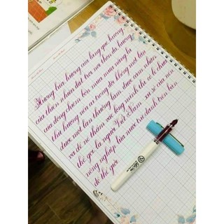 Bút Leta 386 (ngòi lá tre thanh đậm)