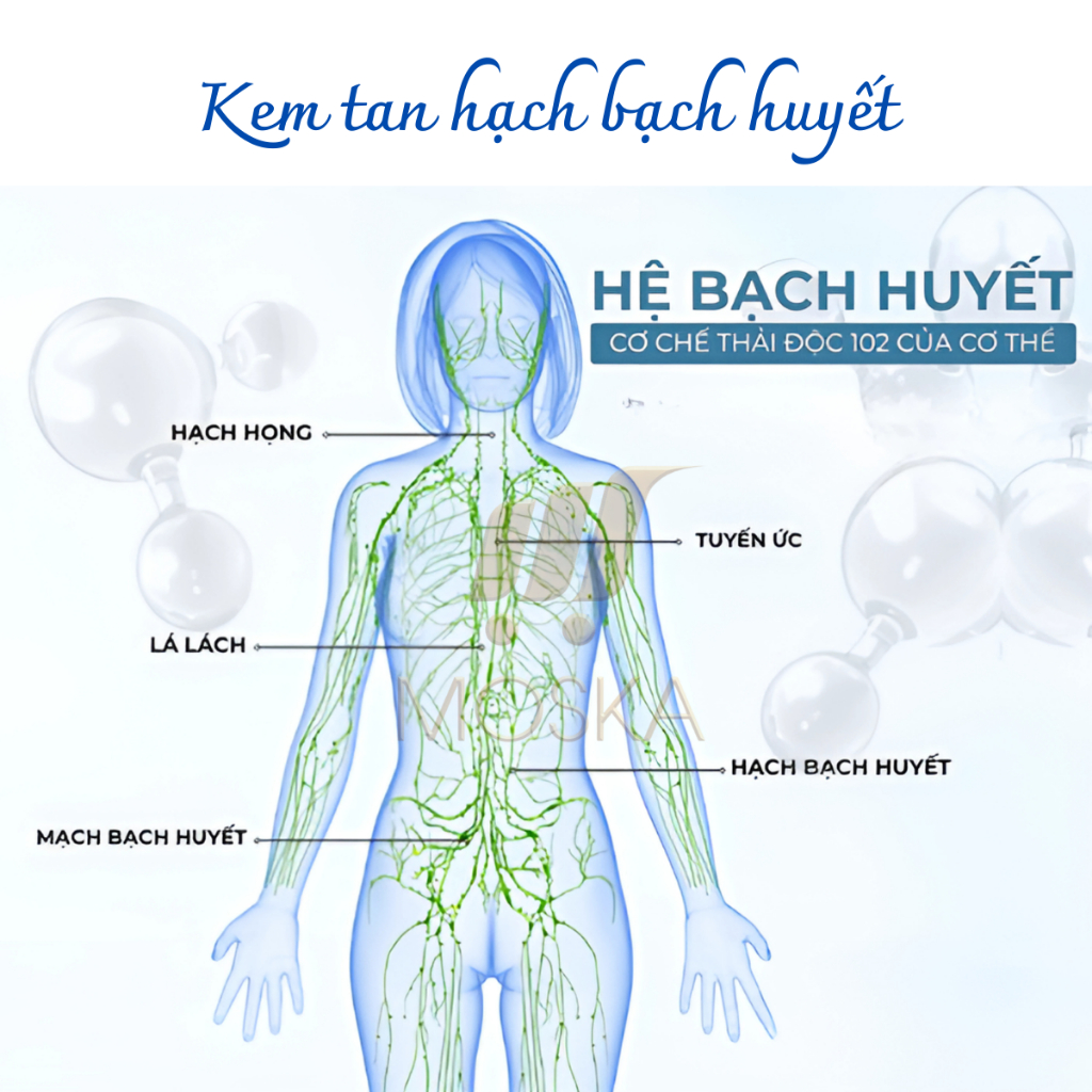 Kem Tan Hạch Bạch Huyết  Shixendo Cổ Truyền Nhật Bản Tan Biến U Hạch, Giảm Đau Sưng Hạch Nhanh Chóng