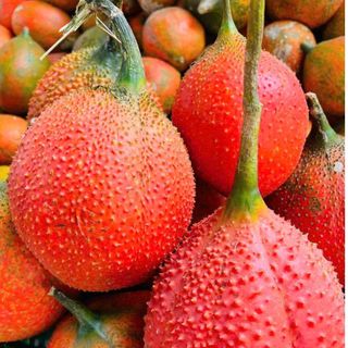  Túi 2 KG   Ruột Gấc   Nấu Xôi Gấc   Cấp Đông   Ship Hỏa Tốc   
