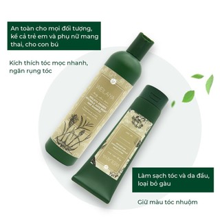 Bộ Gội Xả Kích Thích Mọc Tóc & Giảm Gãy Rụng WEILAIYA Gừng - Hà Thủ Ô 400ml