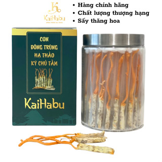 100 con ký chủ Tằm Đông trùng hạ thảo KaiHabu, tăng đề kháng, tốt sức khỏe
