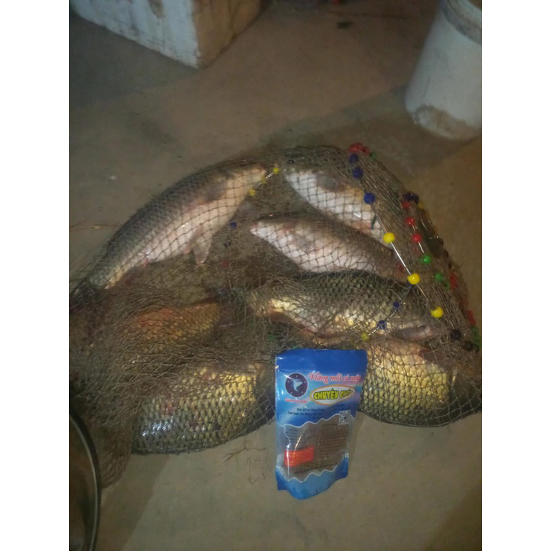 moi câu chuyen chep