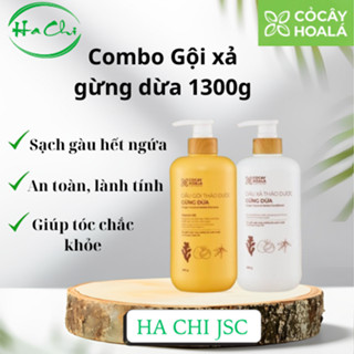  Dầu Gội Thảo Dược Gừng Dừa Cỏ Cây Hoa Lá VIETNAM - Giảm Rụng Tóc Giúp Tóc Mềm Mượt - 650g-Ha Chi JSC 
