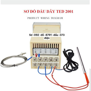 Đồng Hồ Nhiệt Độ TED-2001 0~399ºC AC220V