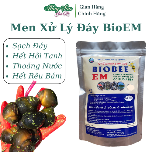 Men vi sinh Bioem xử lý đáy ao và xử lý nước ao nuôi ốc nhồi, ốc bươu đen, men vi sinh bể cá