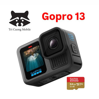  Camera Gopro Hero 13 black 