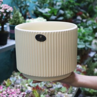 [Đk 12-15-19cm] Chậu gốm tráng men sọc, men lì cao cấp sang trọng, thích hợp trồng các cây kiểng, cây phong thuỷ