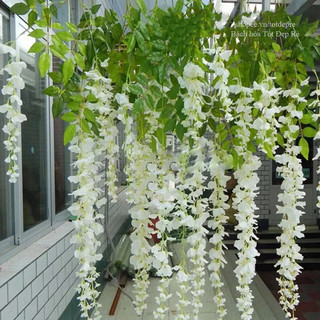 Cành Tử Đằng - Cây Giả Cao Cấp