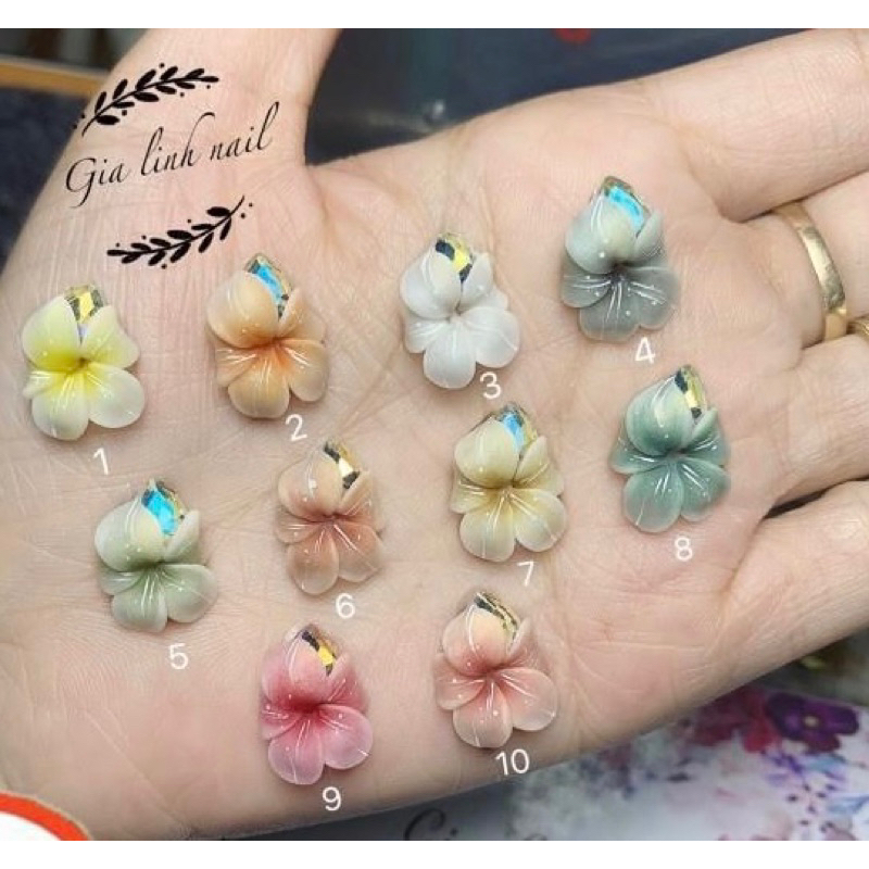 Hoa bột nail gắn móng tay |Hoa đào mai( set 2 bông/10 bông )
