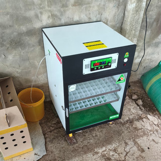 MÁY ẤP TRỨNG 200 TRỨNG HITECH®Deluxe