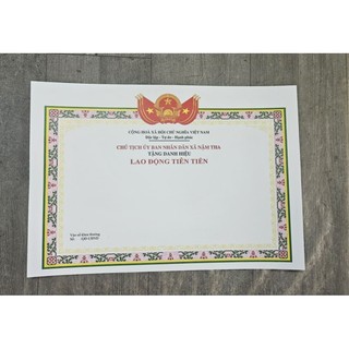 Giấy khen TH-THCS-THPT thiết kế riêng