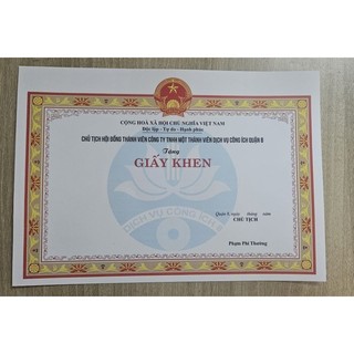 Giấy khen TH-THCS-THPT thiết kế riêng