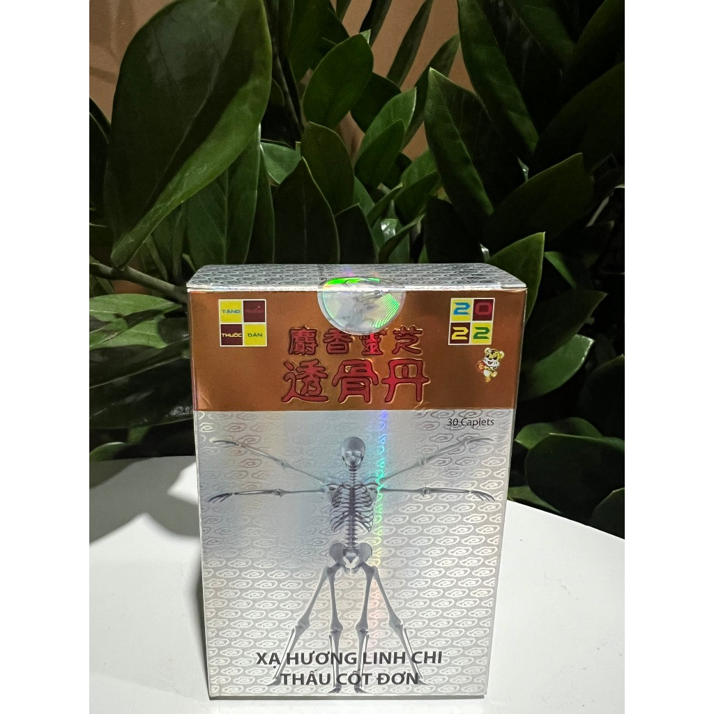 Xạ Hương Linh Chi Thấu Cốt Đơn