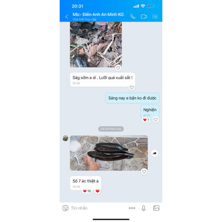 Lưỡi Câu  Cá Lóc Cao Cấp _ Mẫu Số 7