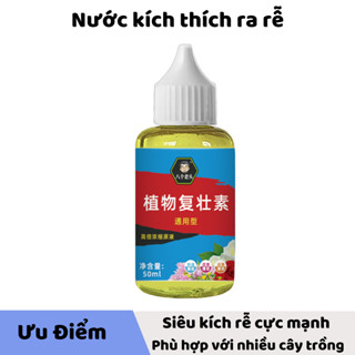 Thuốc kích rễ cây kích thích ra rễ cực mạnh nước kích thích mọc rễ phục hồi cây yếu giúp cây tăng trưởng 50ml - KR01 