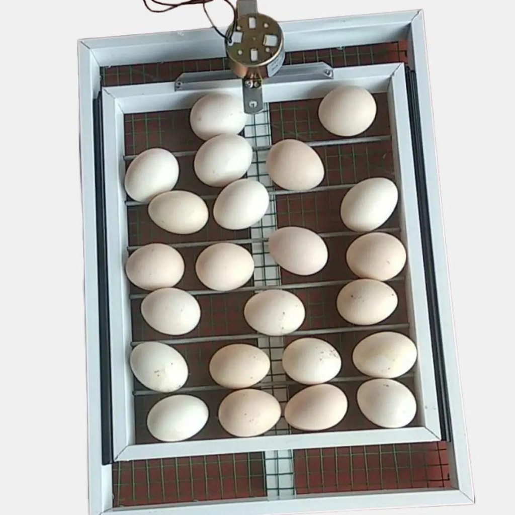 Khay Đảo 35 Trứng - Khay nhôm đảo tự động