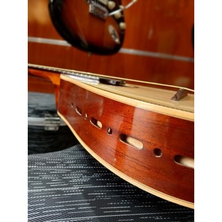 Đàn mandolin gỗ hồng đào kỹ cao cấp (tặng bao và phím)