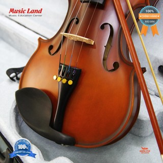 Đàn Violin Victoria - Chính hãng
