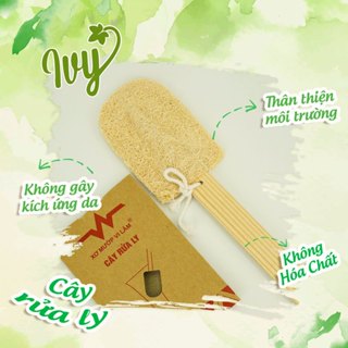 Cây Rửa Ly 2 Cánh Xơ Mướp Vi Lâm, Rửa Sạch Ly Tách, Thân Thiện Môi Trường