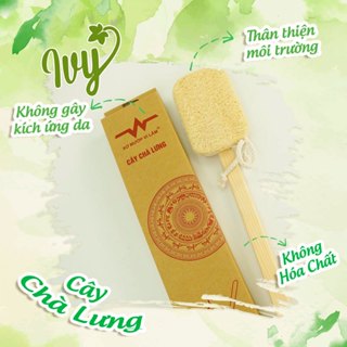 Cây Chà Lưng Xơ Mướp Vi Lâm Massage Lưng Và Tẩy Tế Bào Chết Cho Vùng Lưng Mềm Mại