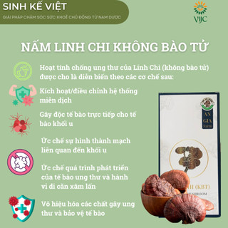 NẤM LINH CHI KHÔNG BÀO TỬ ( THÁI LÁT)