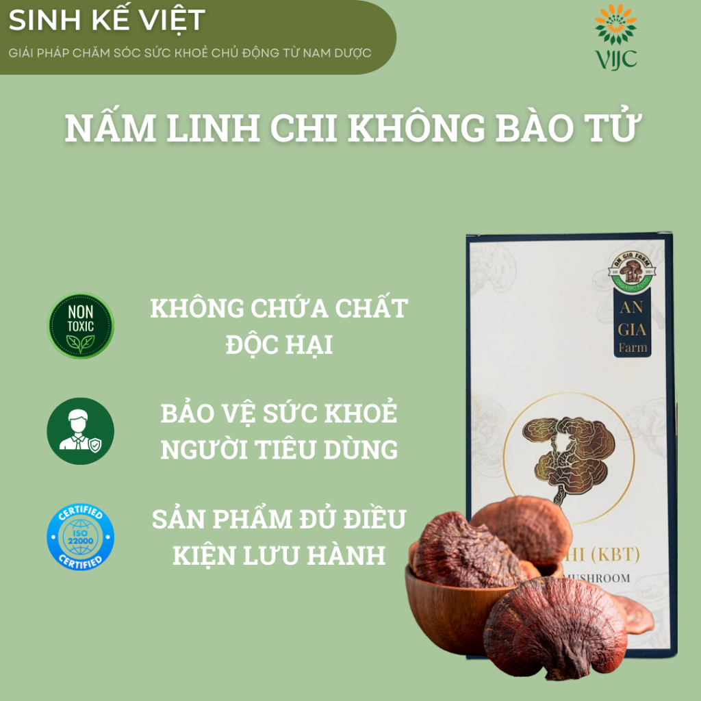 NẤM LINH CHI KHÔNG BÀO TỬ ( THÁI LÁT)