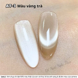 Sơn gel mắt mèo ánh trăng cực quang RAMYLA