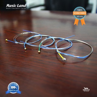 Dây Đàn Violin Infeld IB100 – Chính Hãng