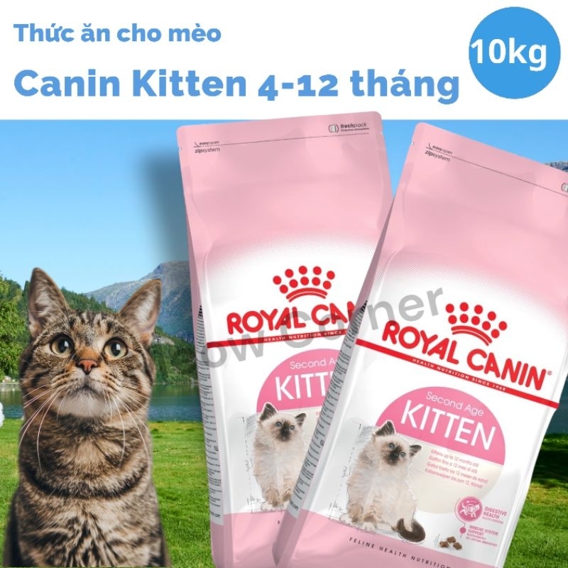 Hạt Royal canin kitten 10kg