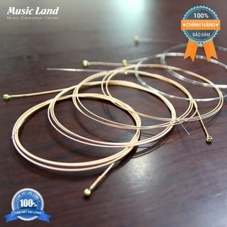 Dây Đàn Guitar Acoustic Elixir 11027 Chính Hãng Của Mỹ Âm Thanh Ấm và Sáng