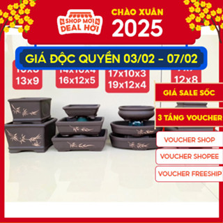 Combo 10 chậu bonsai cây cảnh sen đá mini màu ĐEN SP617