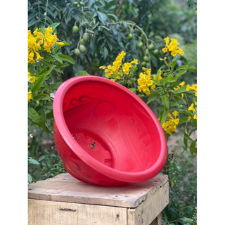 [ 5 cái ] chậu nhựa trồng cây T58 (miệng 55cm x27cm) dày dặn