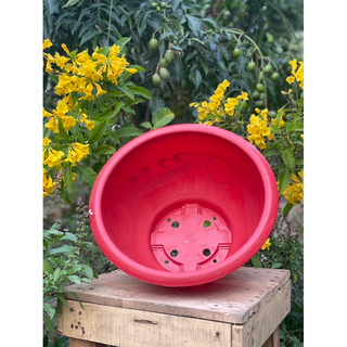 [ 5 cái ] chậu nhựa trồng cây T58 (miệng 55cm x27cm) dày dặn