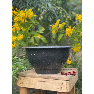 [ 5 cái ] chậu nhựa trồng cây T58 (miệng 55cm x27cm) dày dặn
