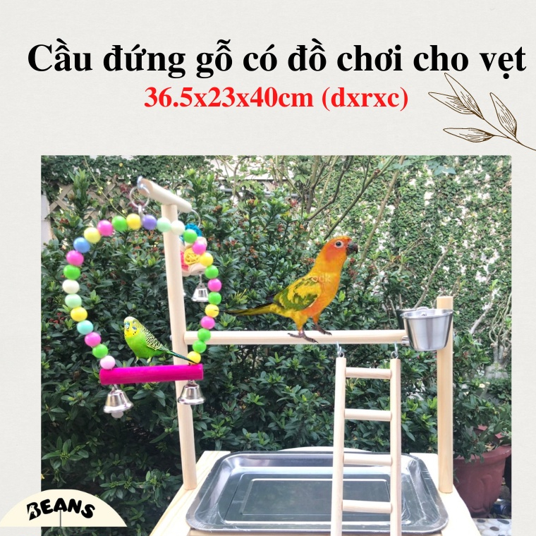 Cầu đứng gỗ dành cho chim, vẹt size nhỏ, size trung 36,5x23x57