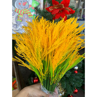 Bụi cây bông lúa vàng trang trí tết, cắm bình hoa