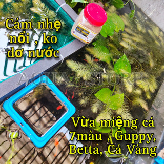 Vòng giữ thức ăn nổi cho cá cảnh hồ thủy sinh