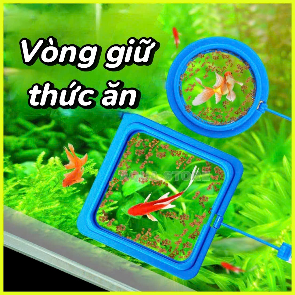 Vòng giữ thức ăn nổi cho cá cảnh hồ thủy sinh
