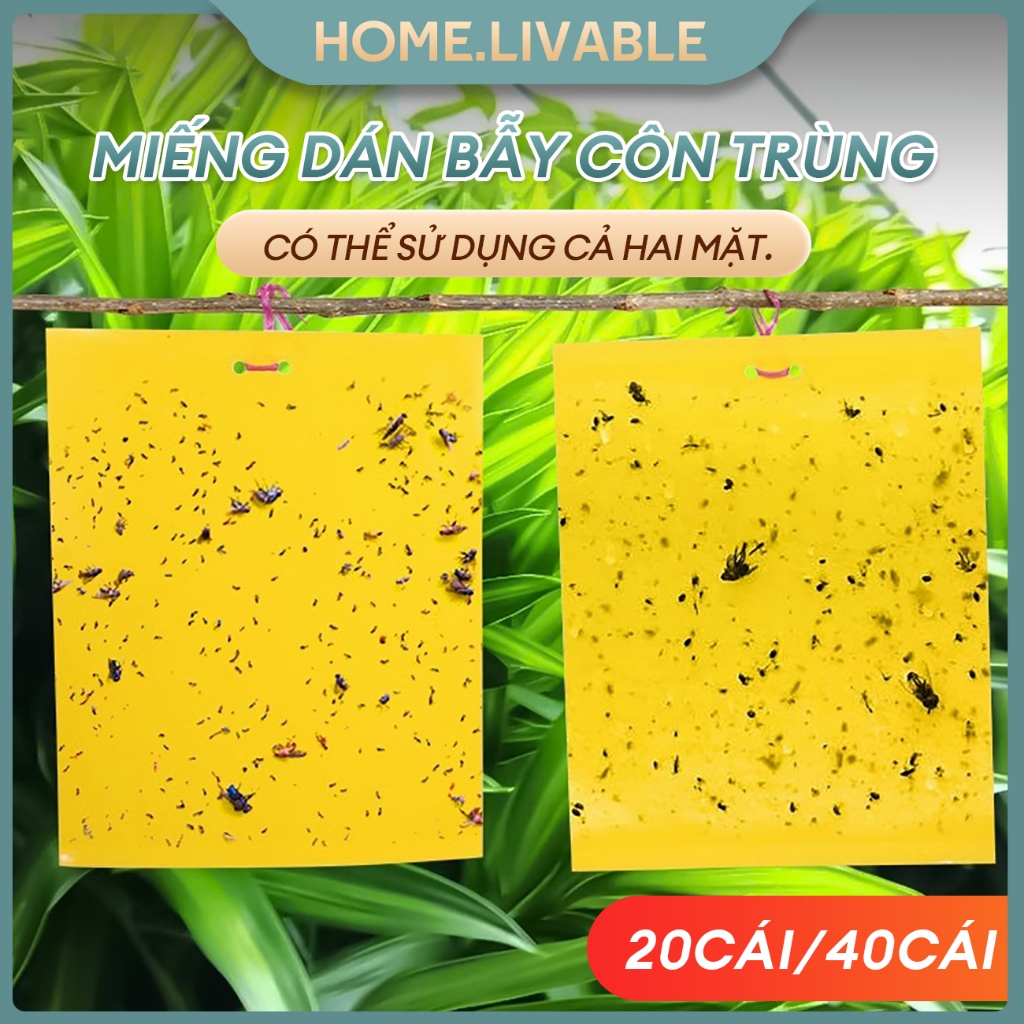 🔥20 cái/40 cái🔥Bẫy ruồi vàng hai mặt Miếng Dán Bẫy Côn Trùngkích cỡ15x20cm, 20x25cm,25x30cm Siêu dính Hiệu quả