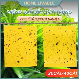 🔥20 cái/40 cái🔥Bẫy ruồi vàng hai mặt Miếng Dán Bẫy Côn Trùngkích cỡ15x20cm, 20x25cm,25x30cm Siêu dính Hiệu quả