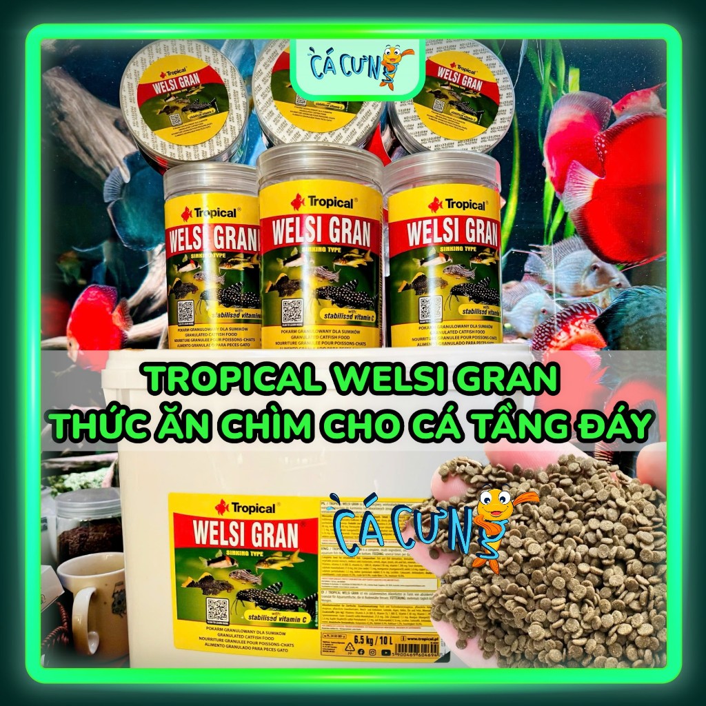 Tropical Welsi Gran - Thức Ăn Cá Chuột, Pleco - Cám Chìm Cho Cá Tầng Đáy Chuyên Dụng (HÀNG CTY)