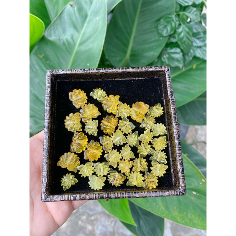 Cham hoa sen hổ phách amber