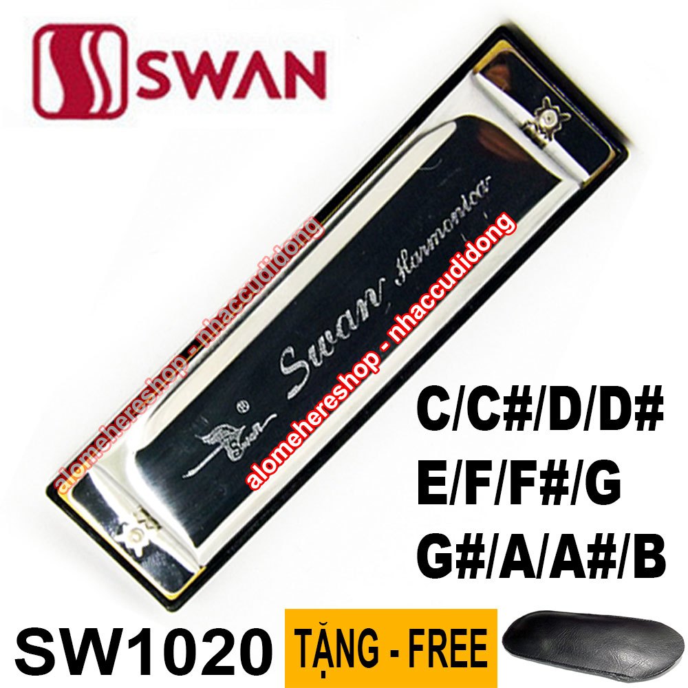 Kèn harmonica 10 lỗ đủ 12 Tones Swan SW1020 C/Db/D/Eb/E/F/Gb/G/Ab/A/Bb/B (Bạc)
