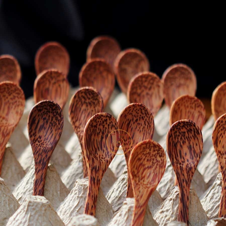 IGiá tốtI Set 10 cái Muỗng (thìa) gỗ dừa nhỏ múc gia vị/kem/yogurt rất xinh ~9-11x2.3 (cm) (Coconut 