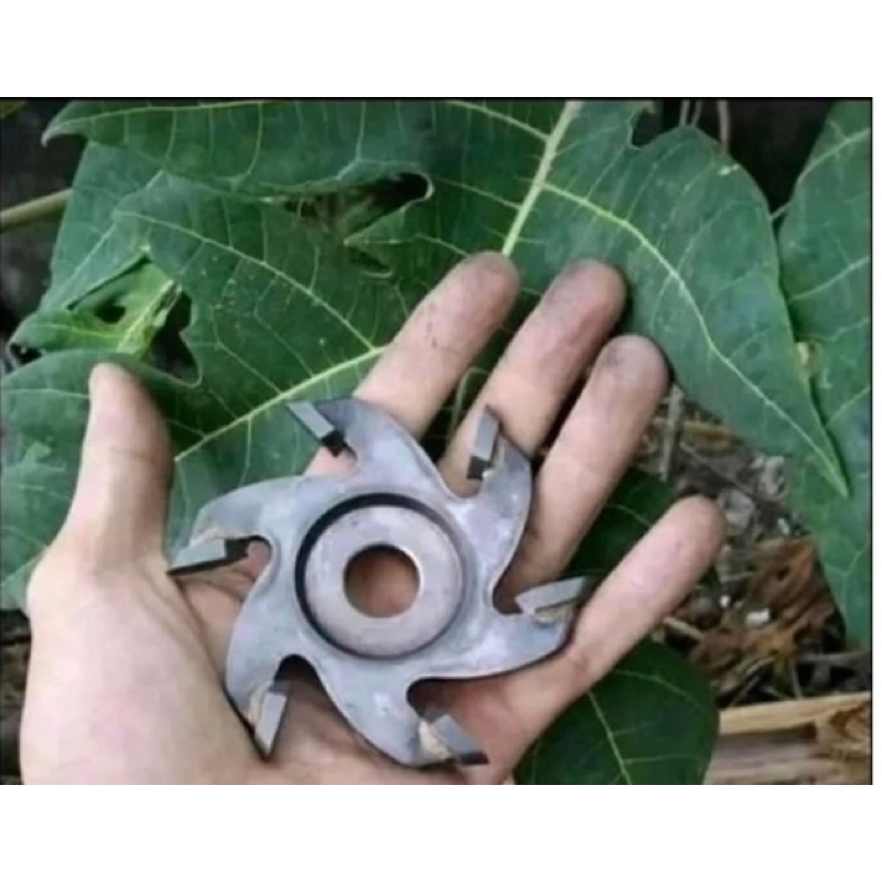 Lưỡi   phay gỗ  ,  lưỡi  quốc gỗ  6 cánh chuyên  dùng  phay tạo  hình  các  sản  phẩm đồ gỗ