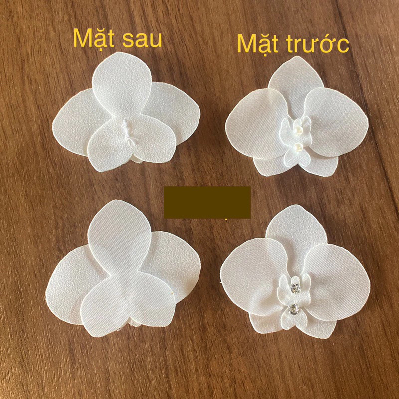 set 5 HOA LAN ĐÍNH KẾT TRANG TRÍ ĐẦM ÁO