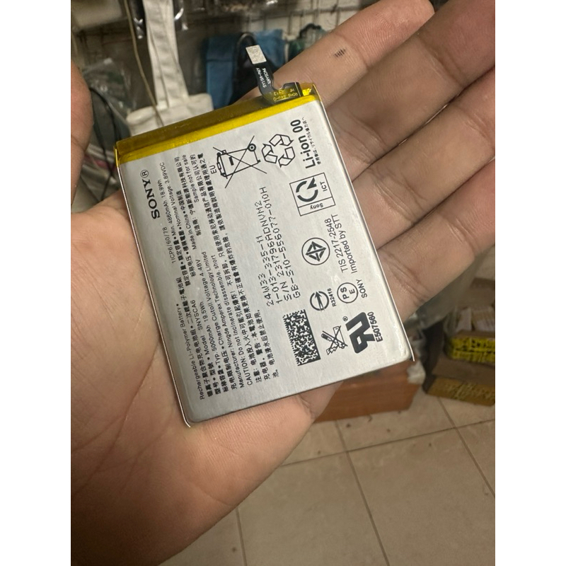 Pin sony 10 mark 4 5