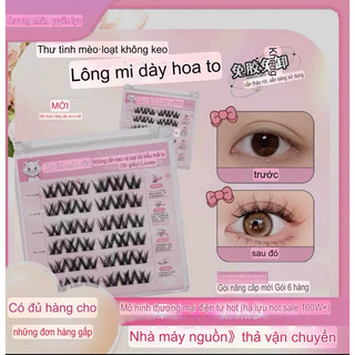 mi tự dính đan 2V không cần dùng keo dán tặng nhíp ,keo gắn khi mua