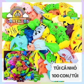 Cá Nhựa Cân, Cá Nhựa Nhập Khẩu, Nam Châm Cá Đã Bắt Vít
