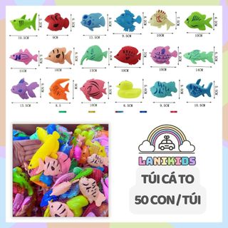 Cá Nhựa Cân, Cá Nhựa Nhập Khẩu, Nam Châm Cá Đã Bắt Vít